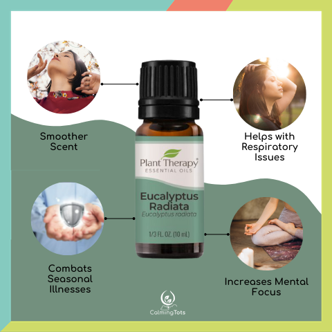 Plant Therapy Eucalyptus Radiata Essential Oil