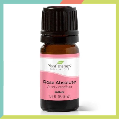 Plant Therapy Rose Absolute Essential Oil