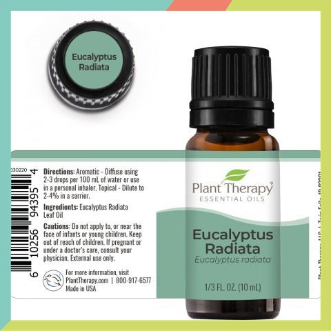 Plant Therapy Eucalyptus Radiata Essential Oil