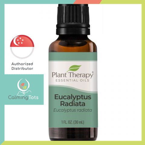 Plant Therapy Eucalyptus Radiata Essential Oil