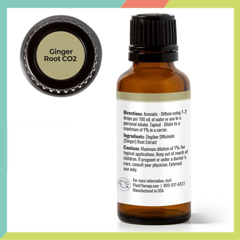 Plant Therapy Ginger Root CO2 Essential Oil