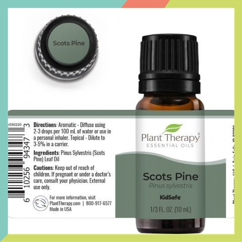 Plant Therapy Pine Scots Essential Oil