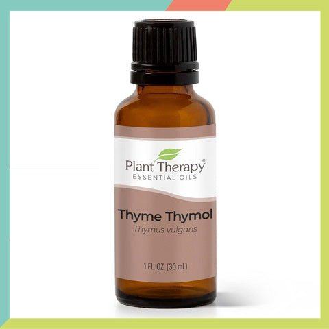 Plant Therapy Thyme Thymol Essential Oil
