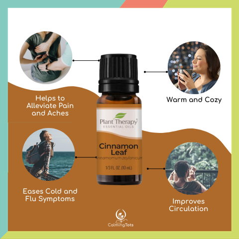 Plant Therapy Cinnamon Leaf Essential Oil
