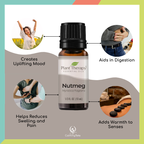 Plant Therapy Nutmeg Essential Oil