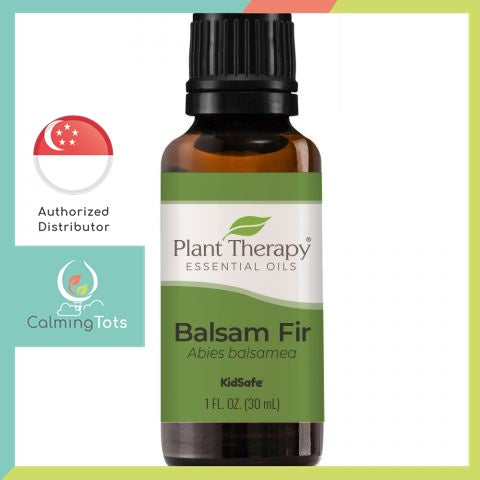 Plant Therapy Balsam Fir Essential Oil