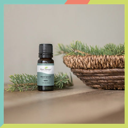 Plant Therapy Spruce Black Essential Oil