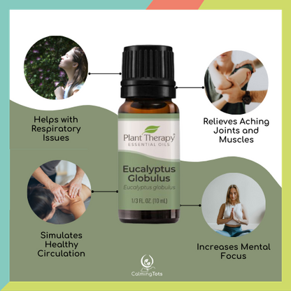 Plant Therapy Eucalyptus Globulus Essential Oil