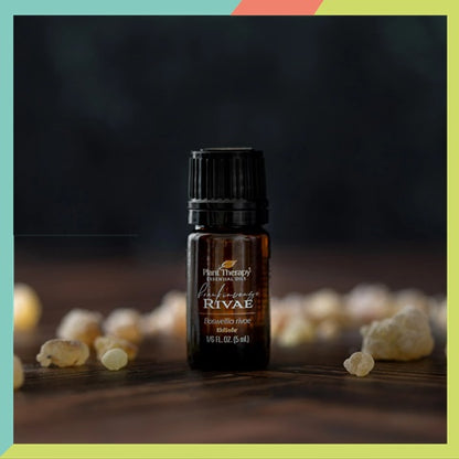 Plant Therapy Frankincense Rivae Essential Oil