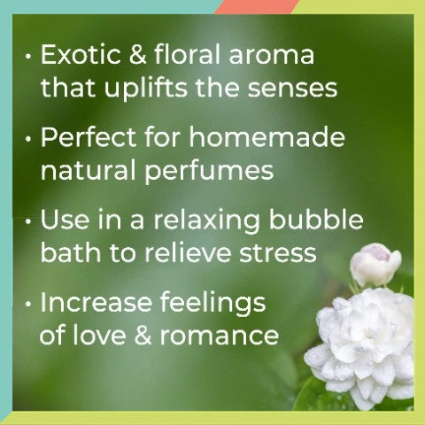 Plant Therapy Jasmine Essential Oil