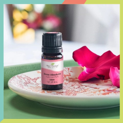 Plant Therapy Rose Absolute Essential Oil