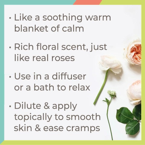 Plant Therapy Rose Absolute Essential Oil