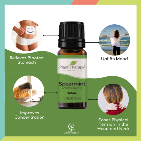 Plant Therapy Spearmint Essential Oil