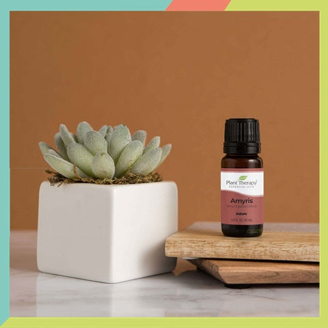 Plant Therapy Amyris Essential Oil