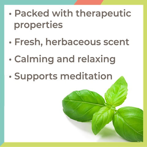 Plant Therapy Basil Linalool Essential Oil