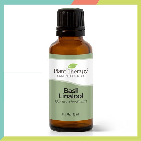 Plant Therapy Basil Linalool Essential Oil