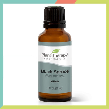 Plant Therapy Spruce Black Essential Oil