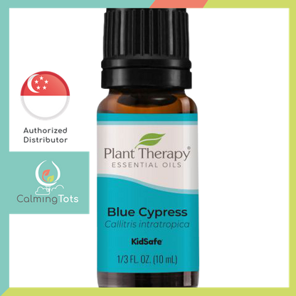 Plant Therapy Blue Cypress Essential Oil