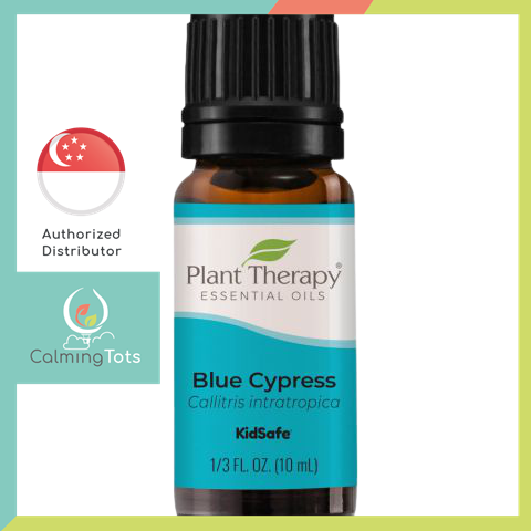 Plant Therapy Blue Cypress Essential Oil