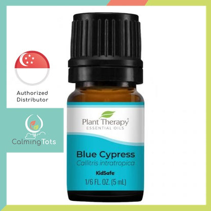 Plant Therapy Blue Cypress Essential Oil