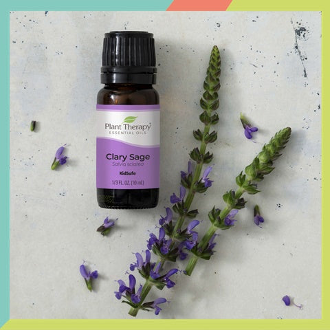 Plant Therapy Clary Sage Essential Oil