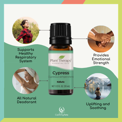 Plant Therapy Cypress Essential Oil