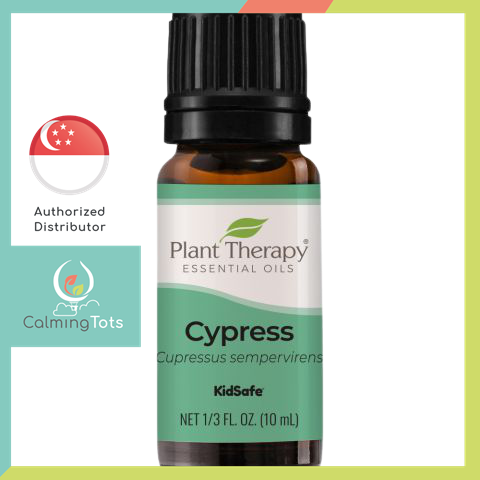 Plant Therapy Cypress Essential Oil