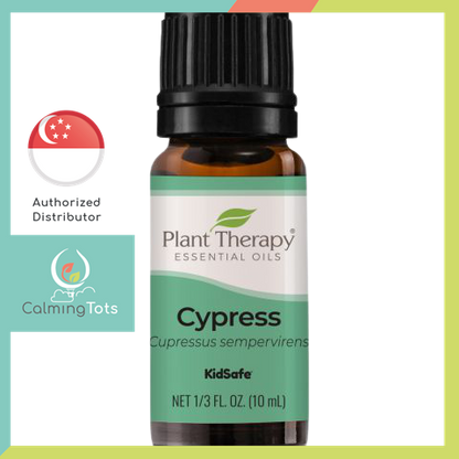 Plant Therapy Cypress Essential Oil