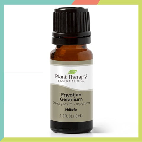 Plant Therapy Geranium Egyptian Essential Oil