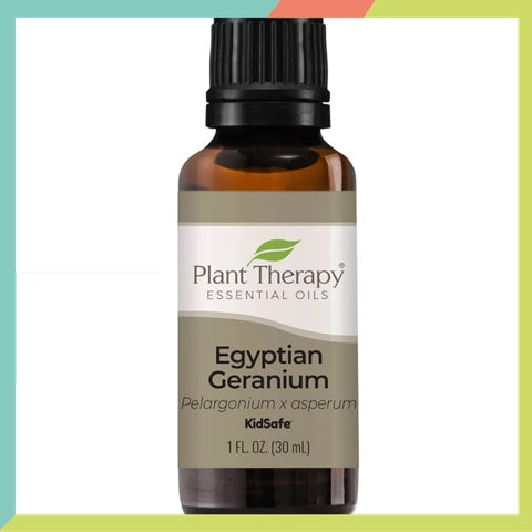 Plant Therapy Geranium Egyptian Essential Oil