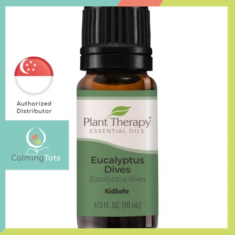 Plant Therapy Eucalyptus Dives Essential Oil