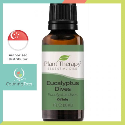 Plant Therapy Eucalyptus Dives Essential Oil