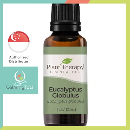 Plant Therapy Eucalyptus Globulus Essential Oil