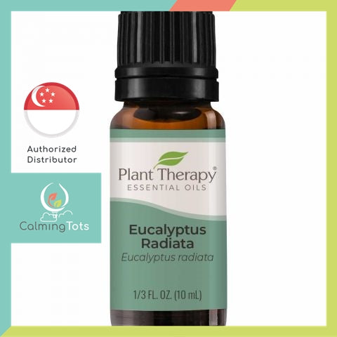 Plant Therapy Eucalyptus Radiata Essential Oil