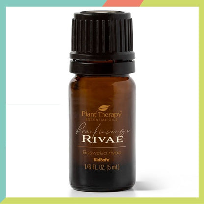 Plant Therapy Frankincense Rivae Essential Oil