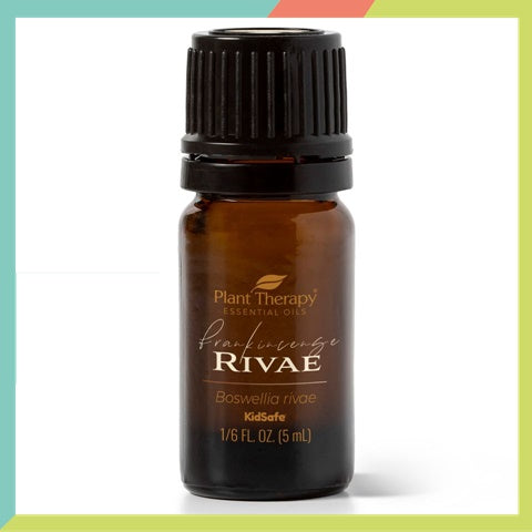 Plant Therapy Frankincense Rivae Essential Oil
