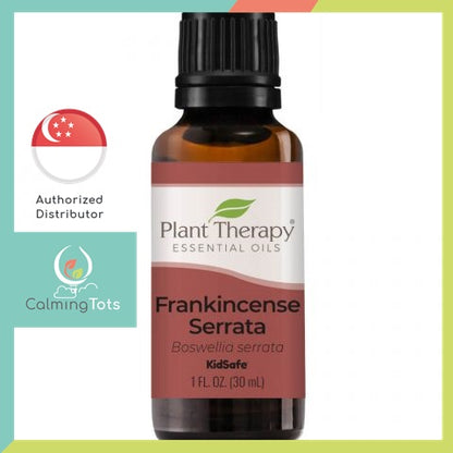 Plant Therapy Frankincense Serrata Essential Oil