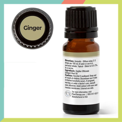 Plant Therapy Ginger Essential Oil