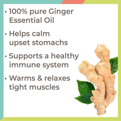 Plant Therapy Ginger Essential Oil