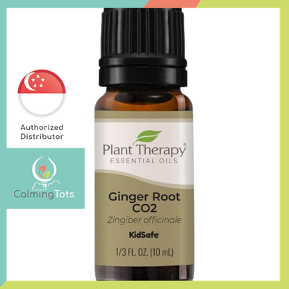 Plant Therapy Ginger Root CO2 Essential Oil