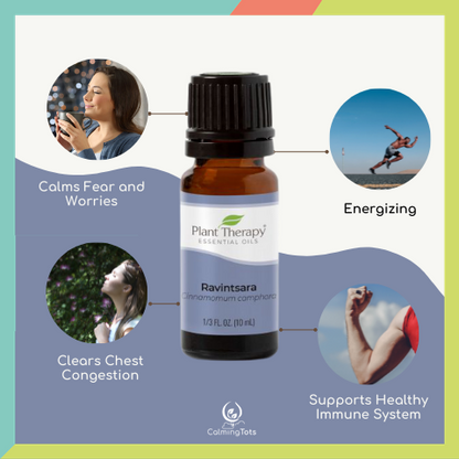 Plant Therapy Ravintsara Essential Oil