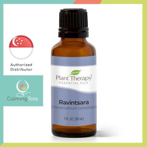 Plant Therapy Ravintsara Essential Oil