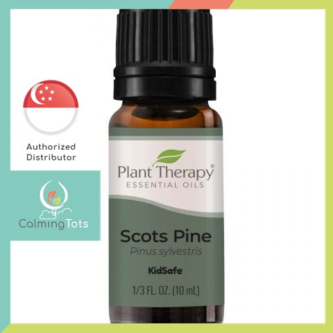 Plant Therapy Pine Scots Essential Oil