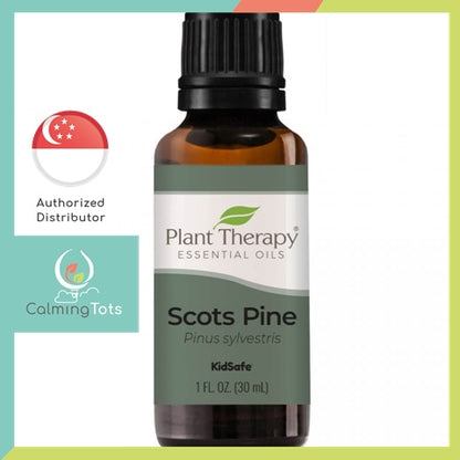 Plant Therapy Pine Scots Essential Oil