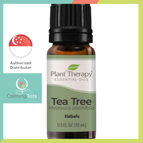 Plant Therapy Tea Tree Essential Oil