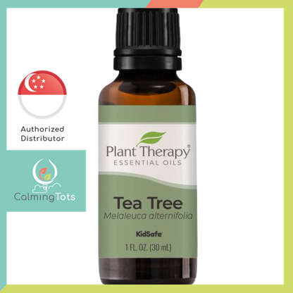 Plant Therapy Tea Tree Essential Oil