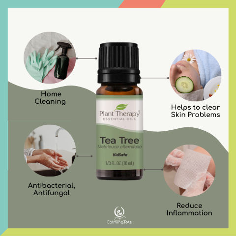 Plant Therapy Tea Tree Essential Oil