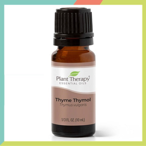 Plant Therapy Thyme Thymol Essential Oil