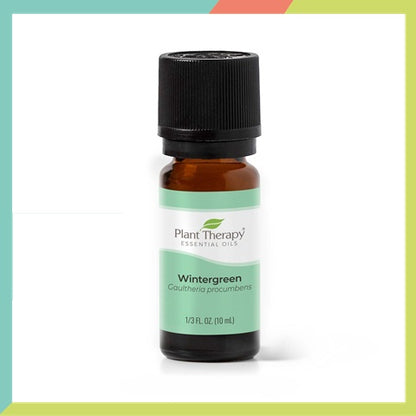 Plant Therapy Wintergreen Essential Oil