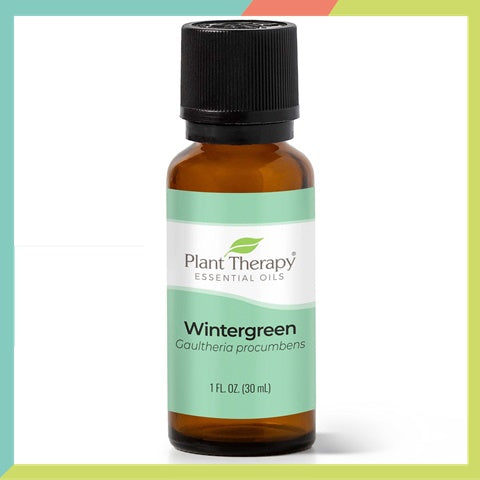 Plant Therapy Wintergreen Essential Oil